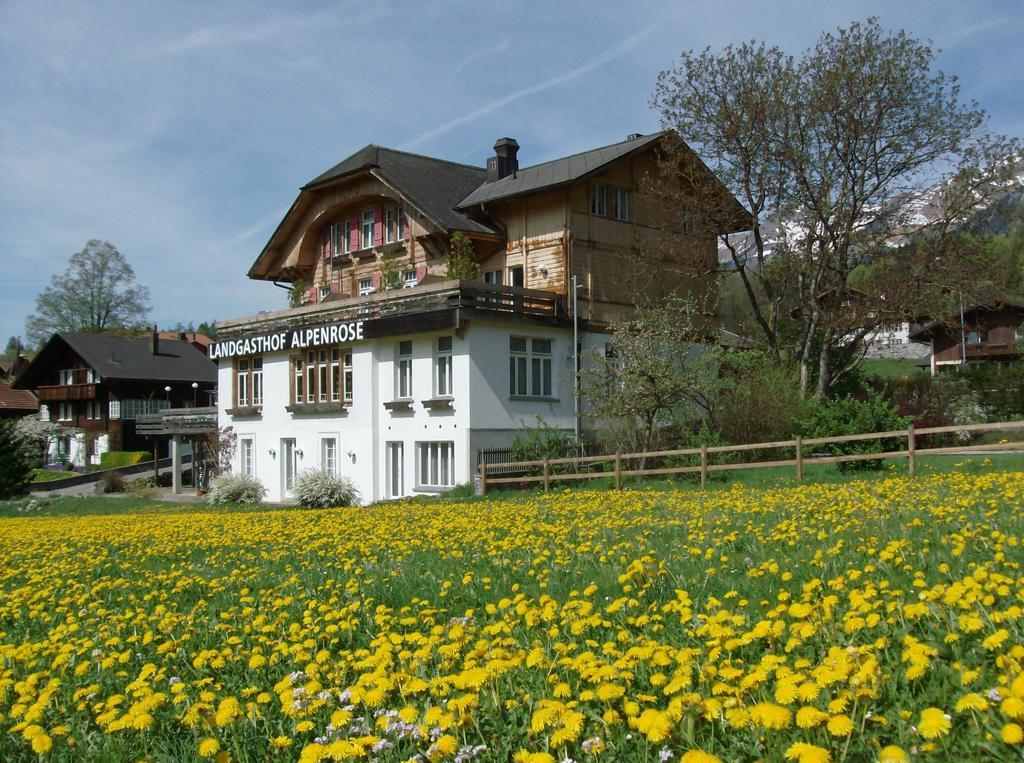 Hotel Alpenrose Beim Ballenberg Hofstetten bei Brienz Exterior foto